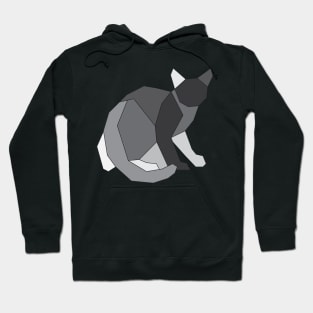 Wondering cat? Hoodie